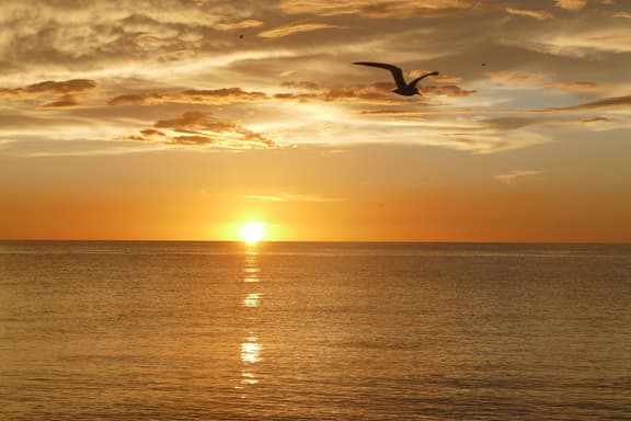 Charming 2 Bed South End Beachfront Condo at Popular Seawinds - Image 1